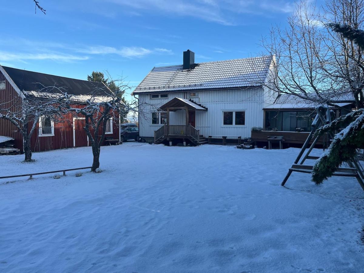 Older Villa With Large Garden Trondheim Eksteriør billede