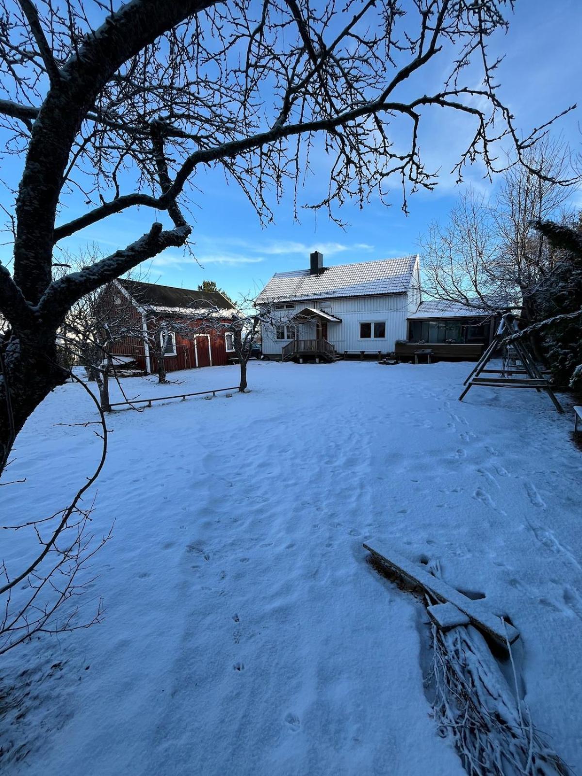 Older Villa With Large Garden Trondheim Eksteriør billede